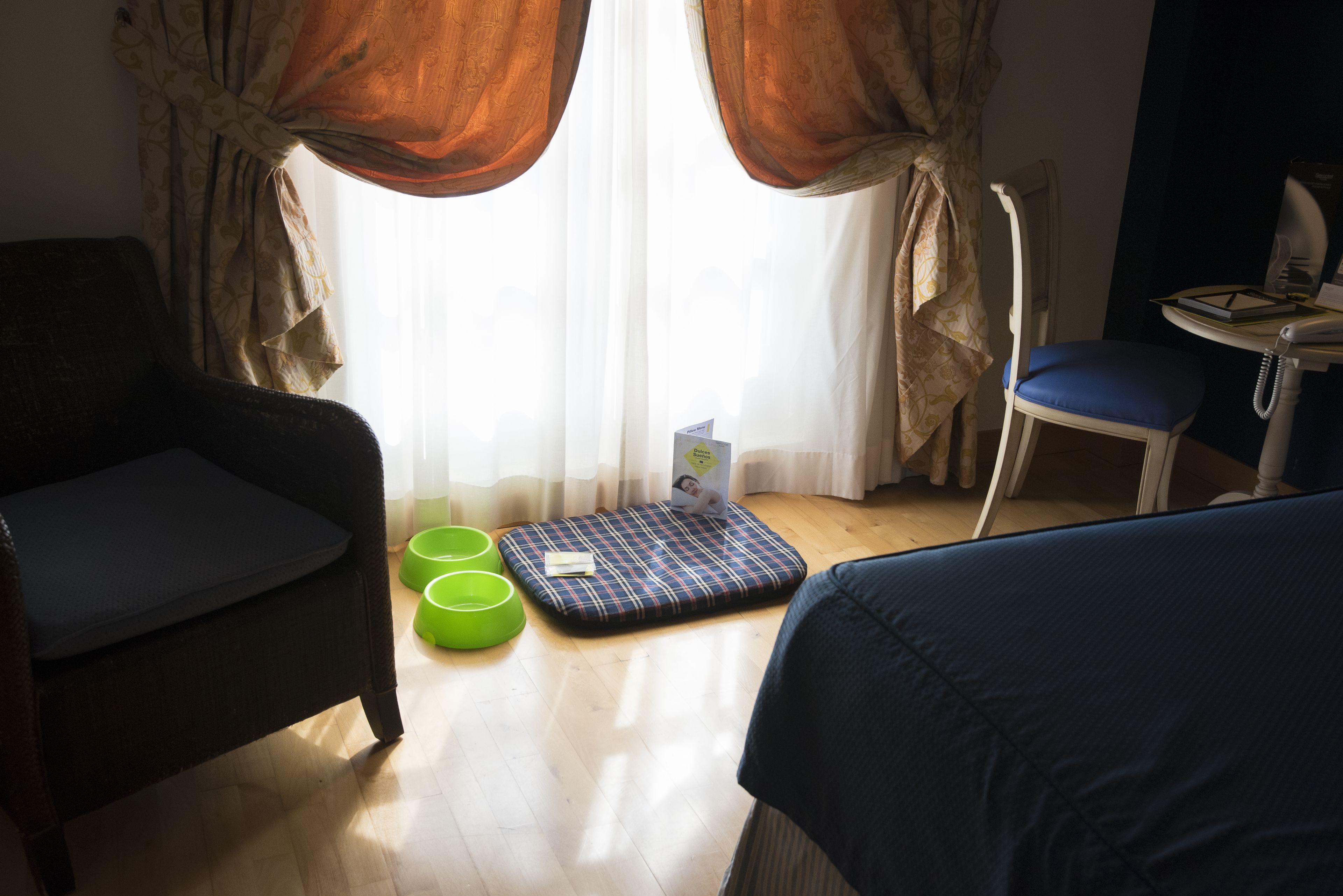 A room with a dark armchair, a blue sofa, a small table with a telephone, a green stool, and a blue cushion on the floor.