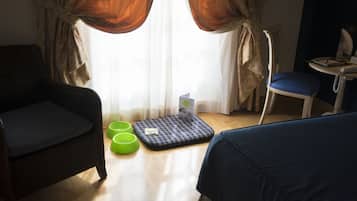 A room with a dark armchair, a blue sofa, a small table with a telephone, a green stool, and a blue cushion on the floor.