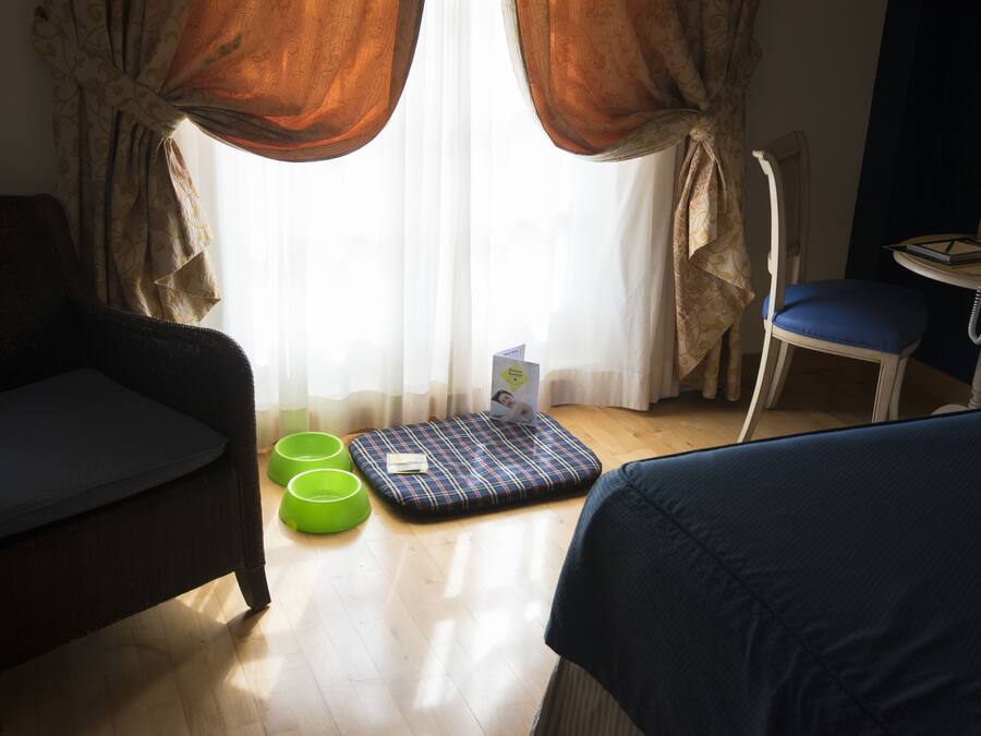 A room with a dark armchair, a blue sofa, a small table with a telephone, a green stool, and a blue cushion on the floor.