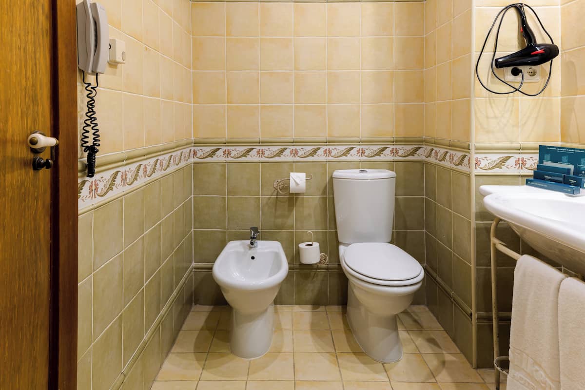 shower, hair dryer, bidet, towels