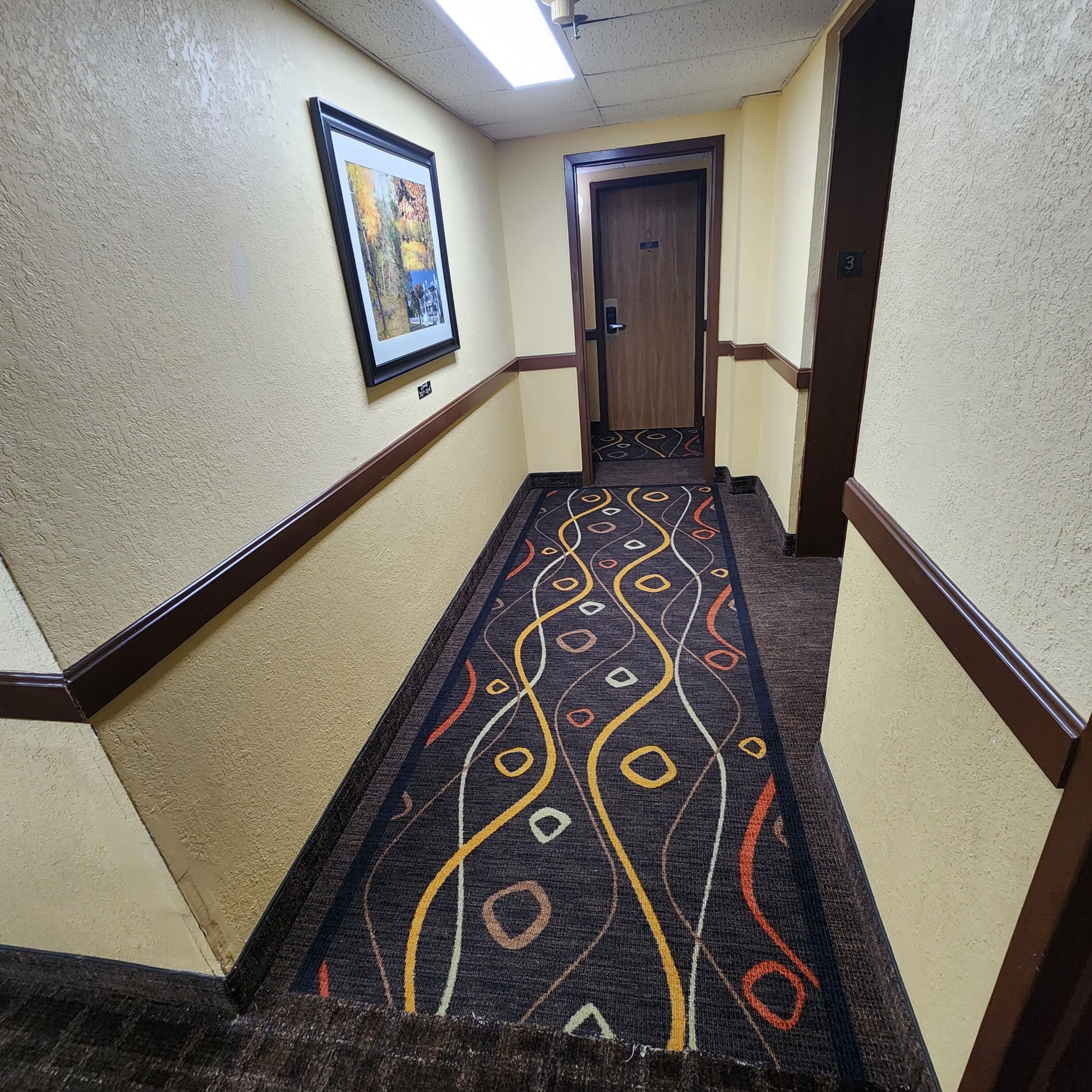 Un pasillo con alfombra estampada, un cuadro en la pared y una puerta al final.
