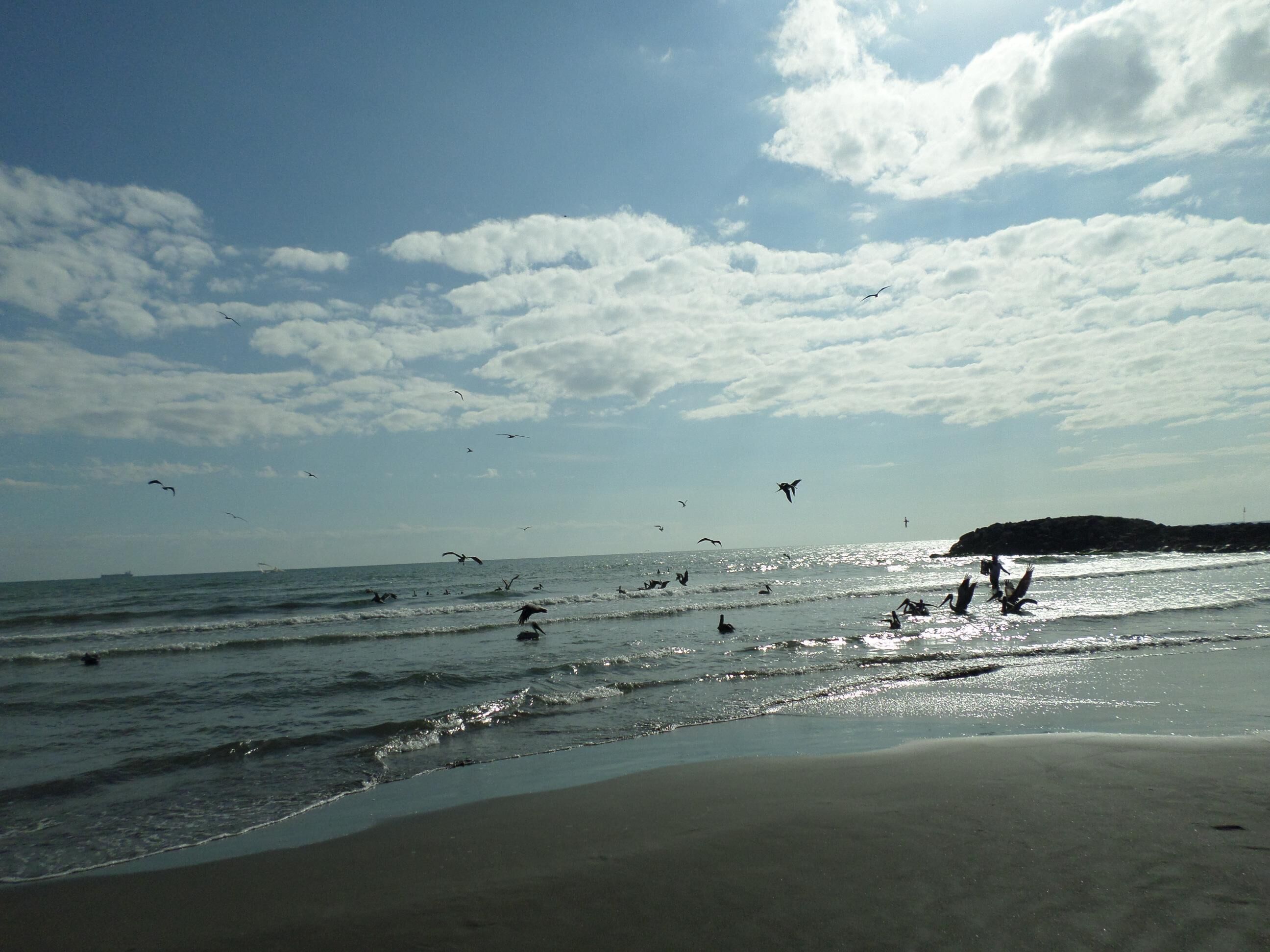 En la playa y toallas de playa 
