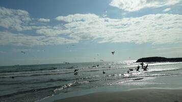 En la playa y toallas de playa