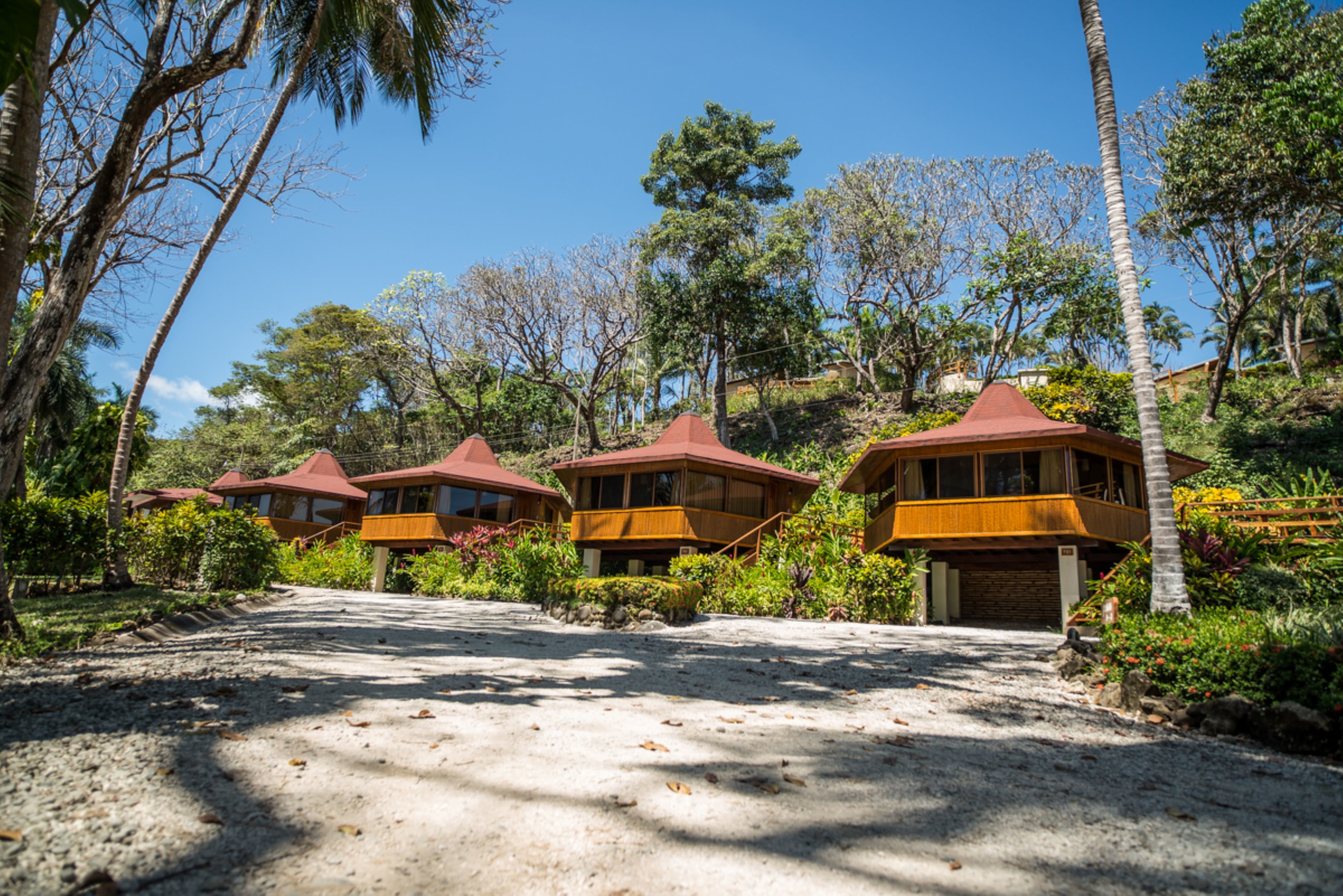 suite, ocean view (tiki suite) | minibar, in-room safe, desk, cots/infant beds