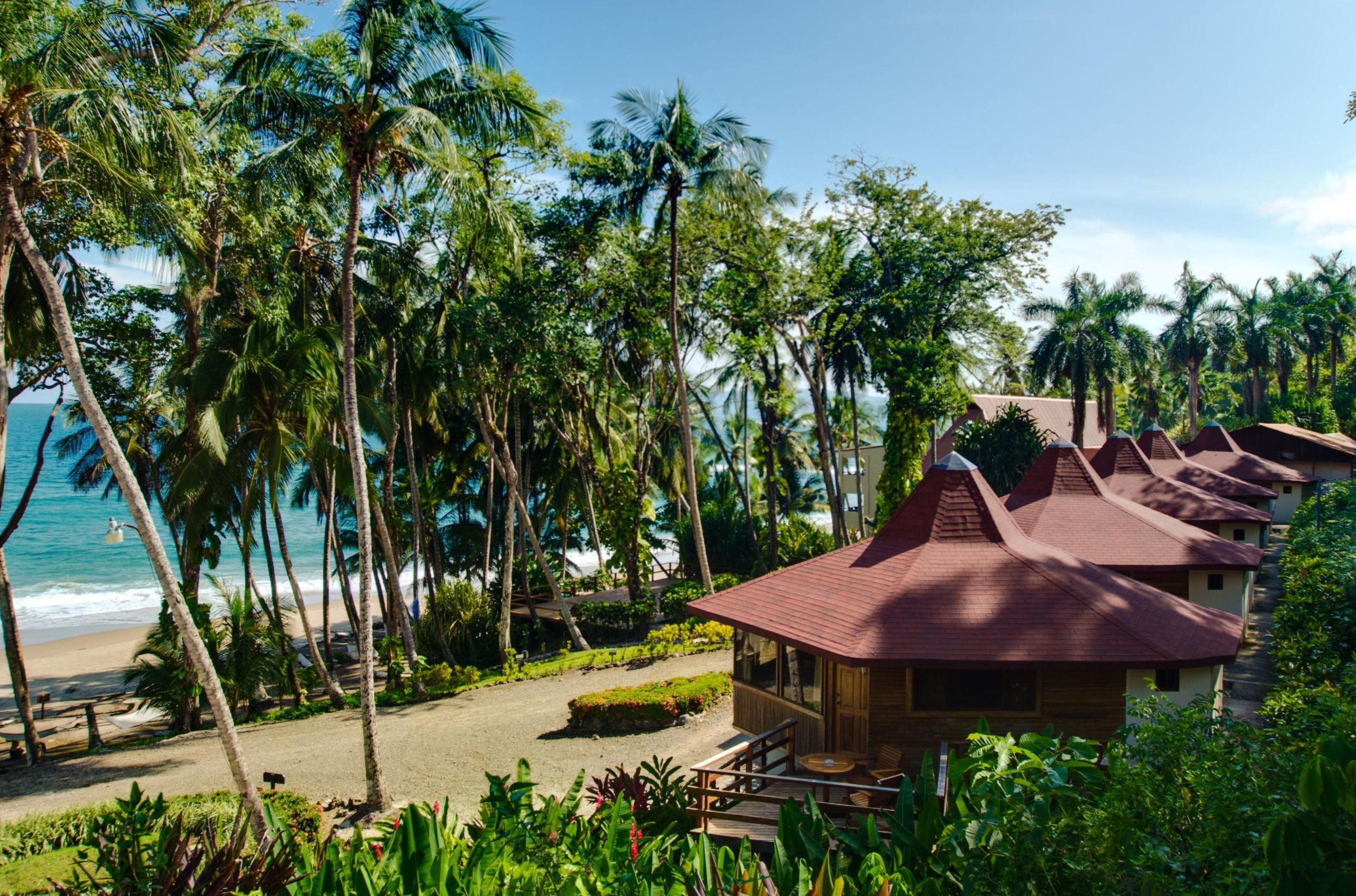 Suite, Meerblick (Tiki Suite) | Strand-/Meerblick