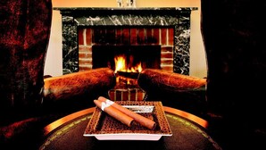 A fireplace with two logs, a plate with a cigar, and two dog statues on the mantel. - Hotel Paradies (Ftan)