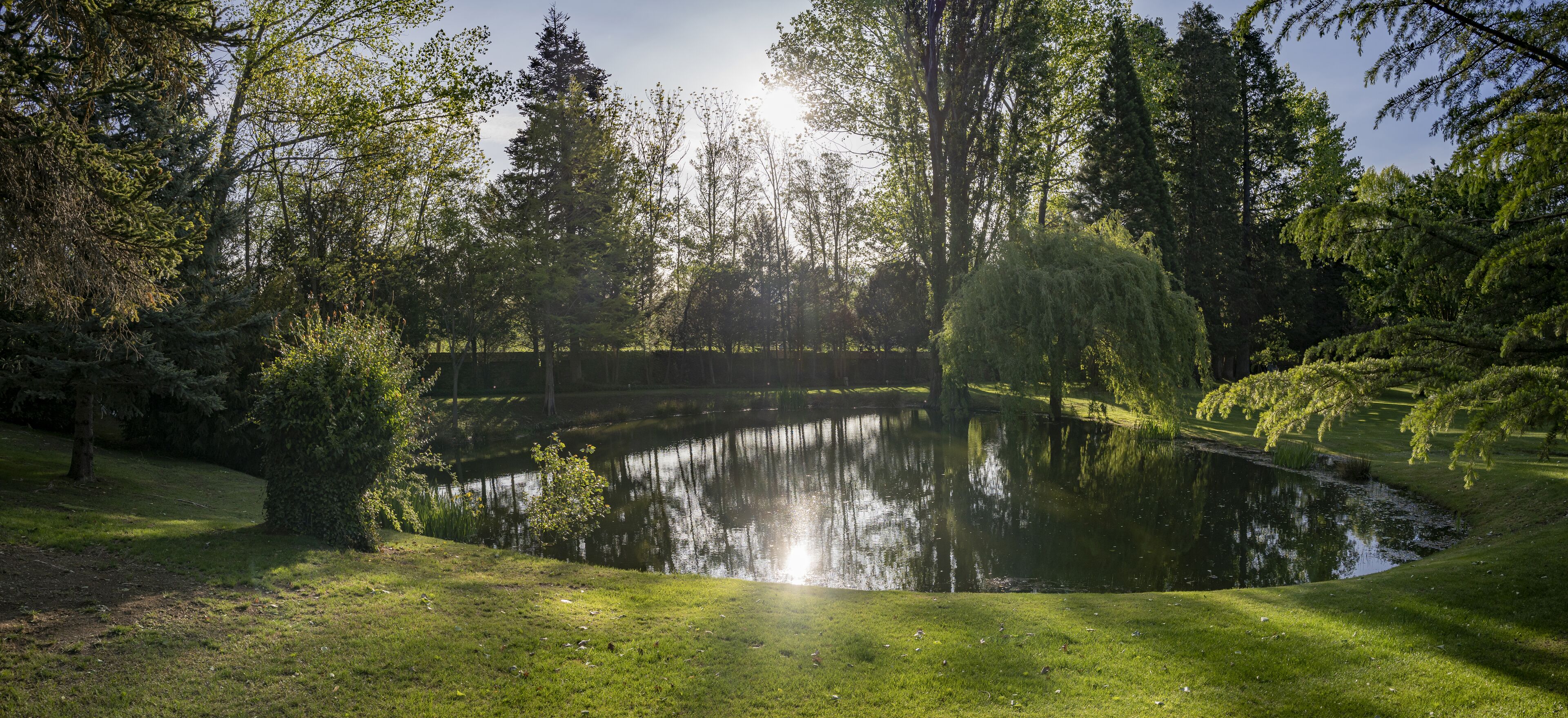 A serene pond surrounded by lush greenery and trees, reflecting sunlight.