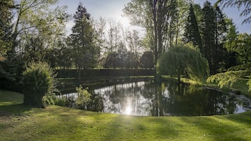 Een rustig vijver omringd door weelderige begroeiing en bomen, waarin het zonlicht weerspiegelt.