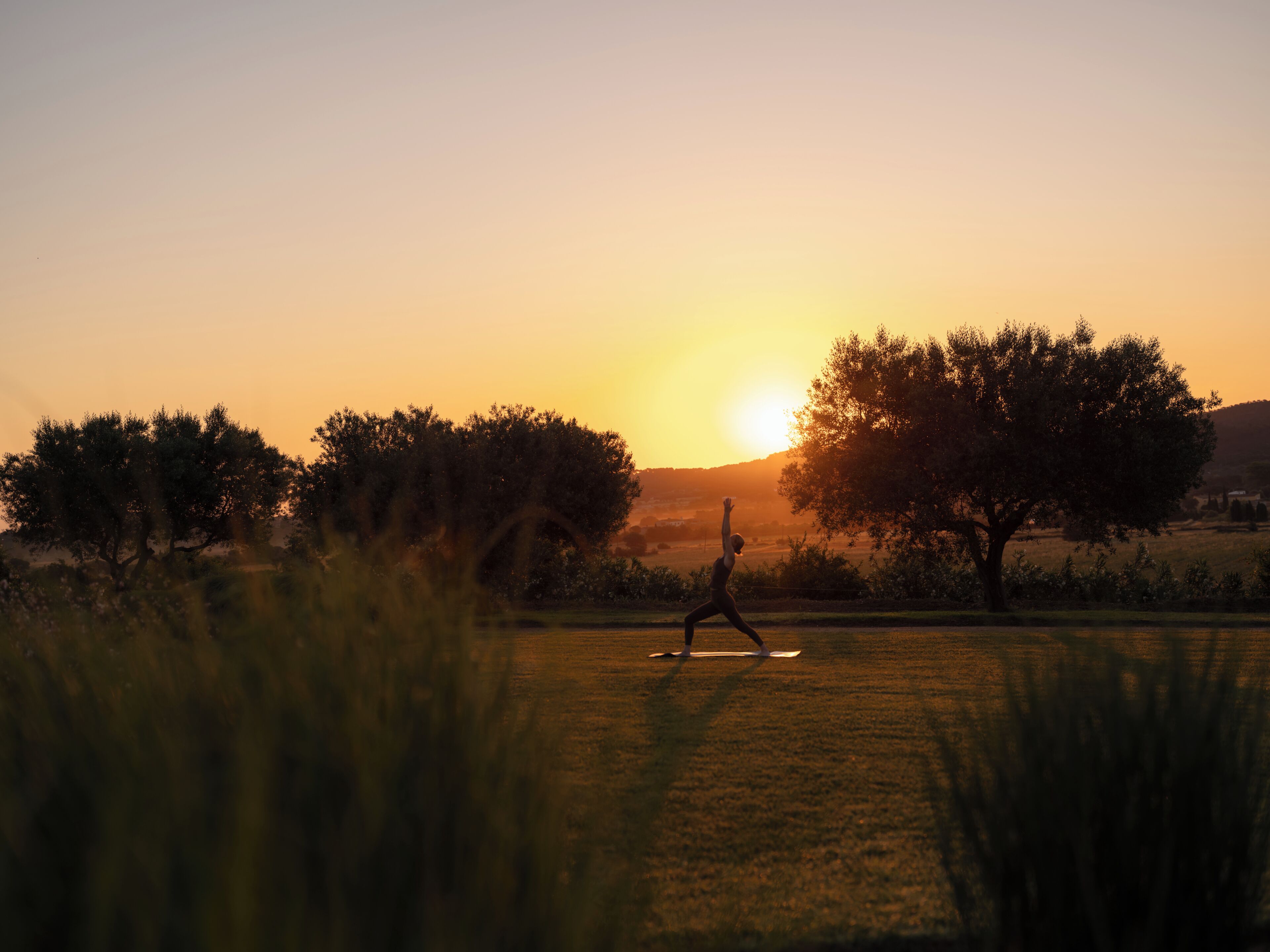 Una persona che pratica yoga in un prato erboso, con alberi e un tramonto sullo sfondo.