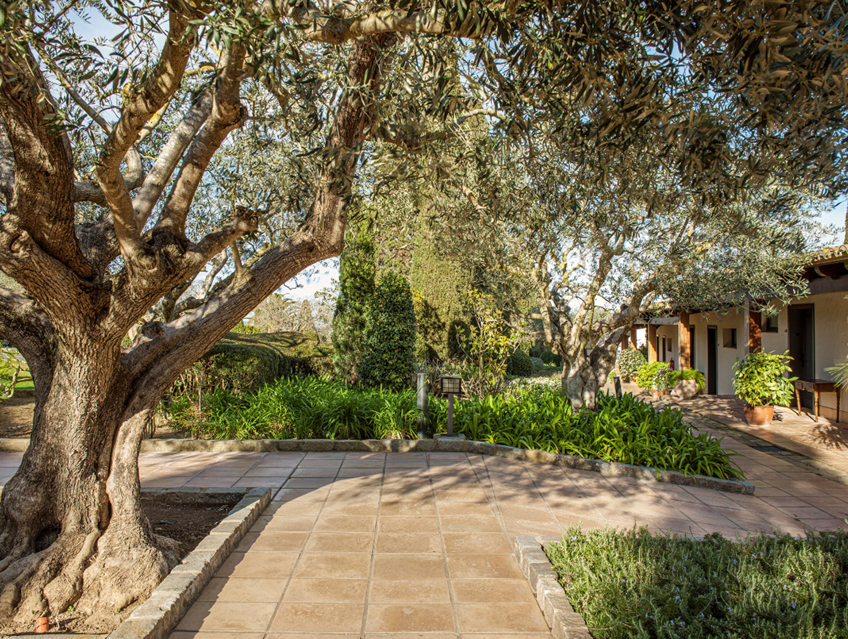 suite, terrace, garden area (spa access included) | view from room