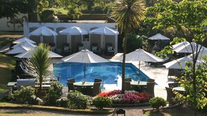A pool area with multiple umbrellas, lounge chairs, and a decorative palm tree.