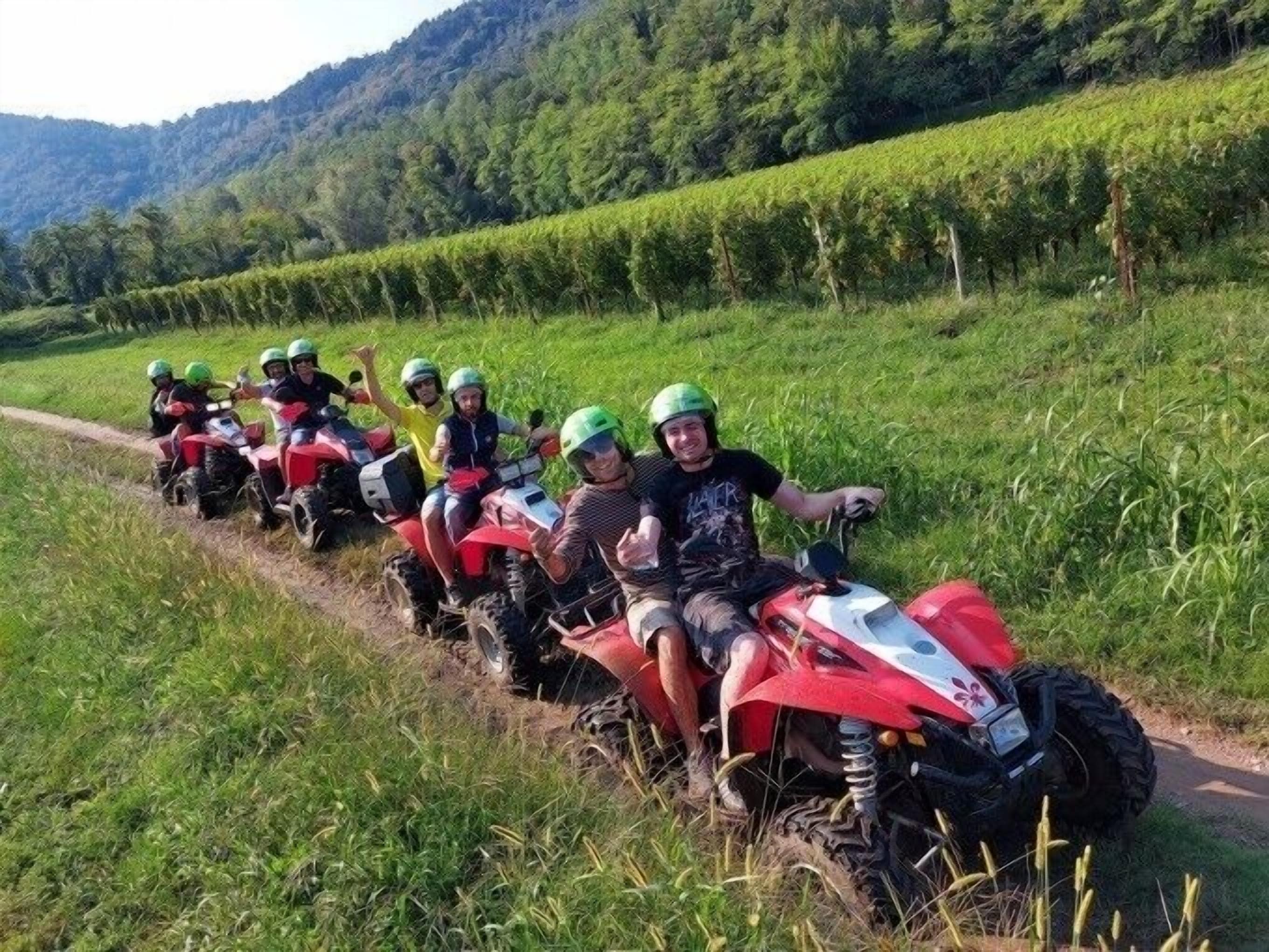 A group of people on ATVs in a vineyard.