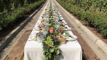 A long table set up outdoors with white tablecloths and glassware, surrounded by greenery and benches.
