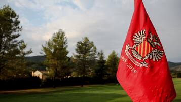 Flag bearing the 1965-2015 coat of arms proudly displayed on a flagpole amidst a serene landscape.