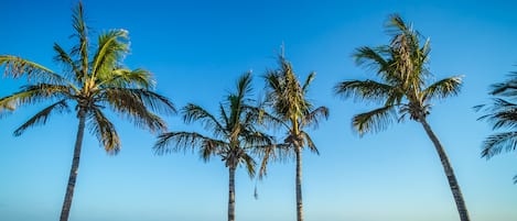 Una spiaggia nelle vicinanze