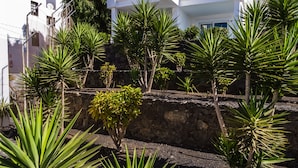 Un edificio blanco con un muro de piedra y plantas verdes al frente.