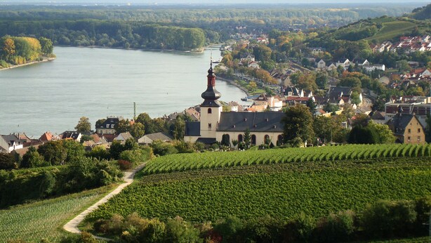 Une ville riveraine qui se distingue par sa grande église, ses vignobles et la rivière qui la traverse.