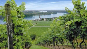 Un vignoble avec des rangées de vignes, et en arrière-plan, une vue sur un lac et une pagode.