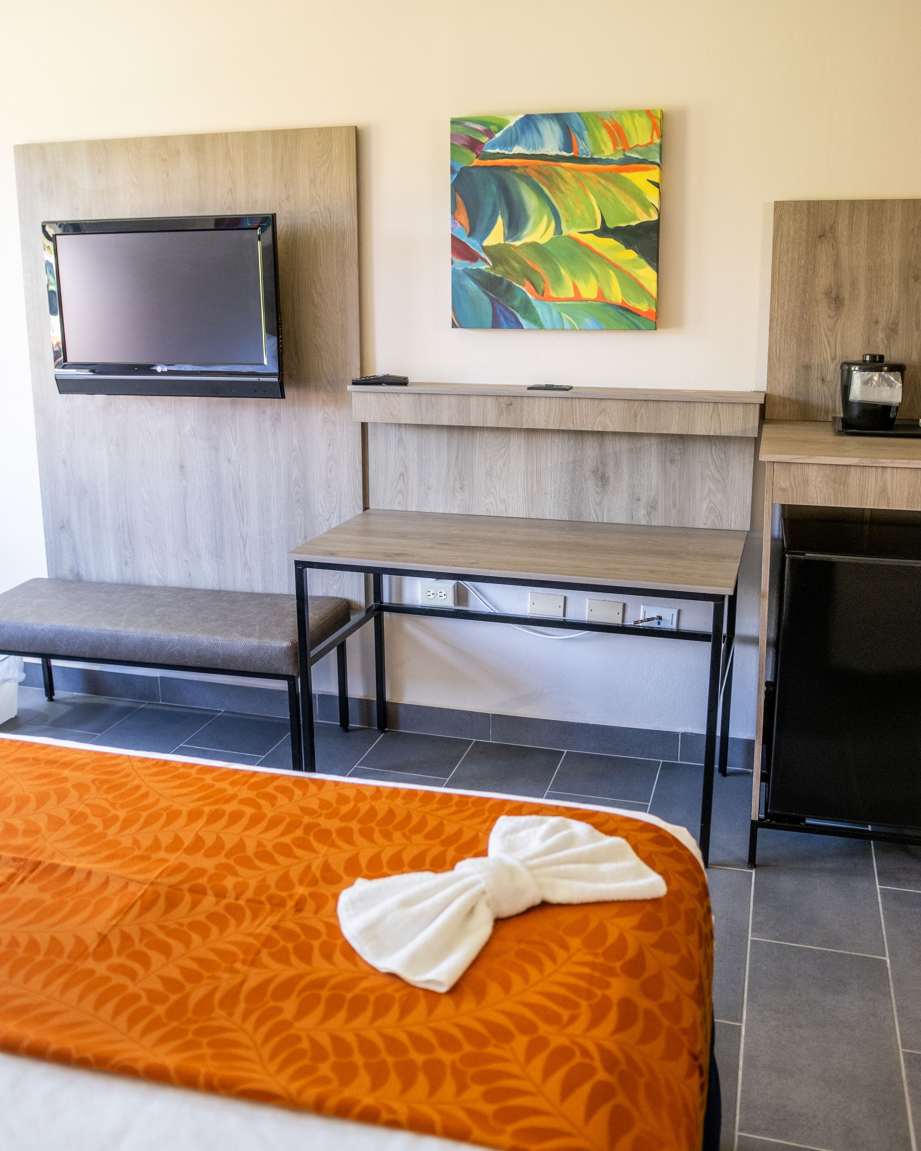 standard double room | television