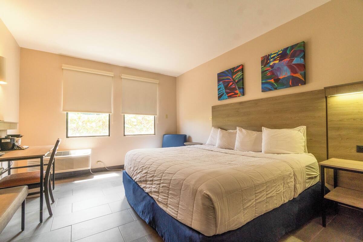 A hotel room with a bed, a desk, and two windows with blinds.