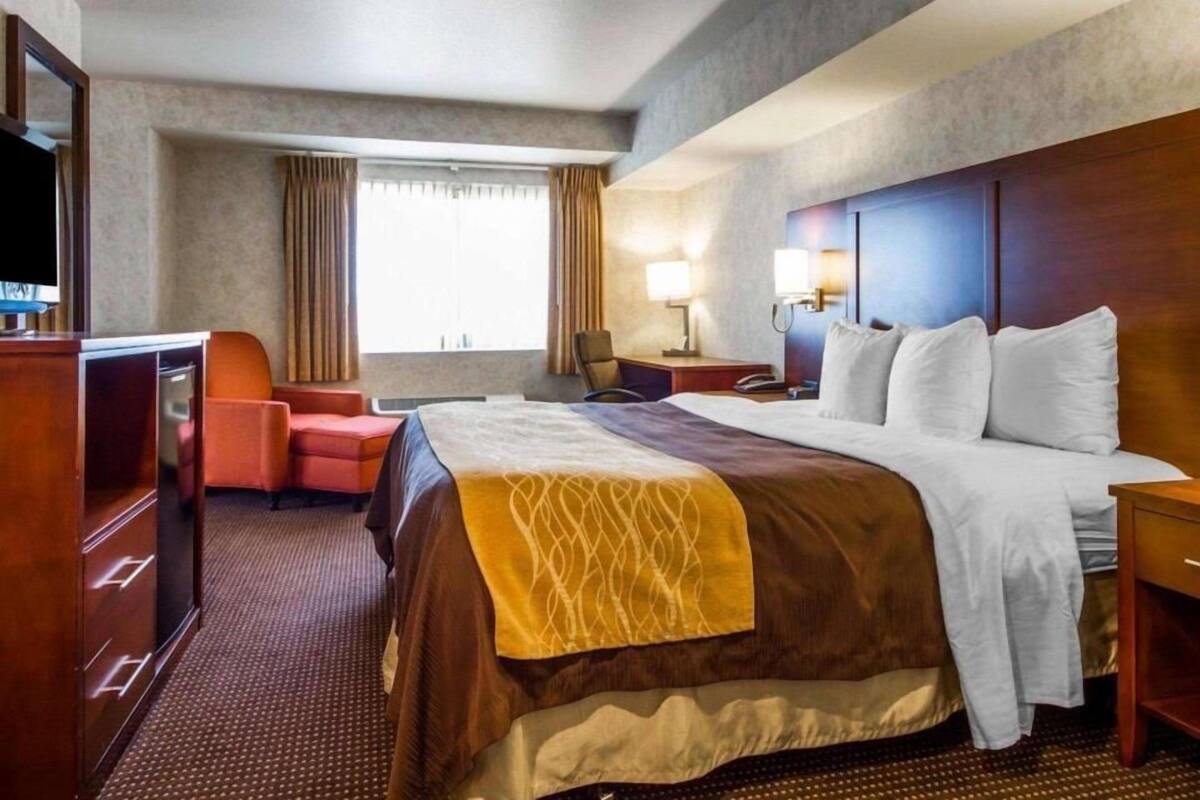 A hotel room with a bed, a desk, a chair, a television, and a window with curtains.