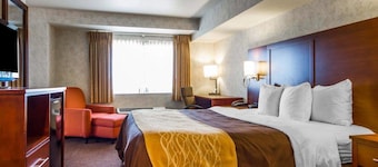 Comfort Inn Watsonville