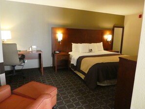 Standard Room, 1 King Bed, Non Smoking | View from room