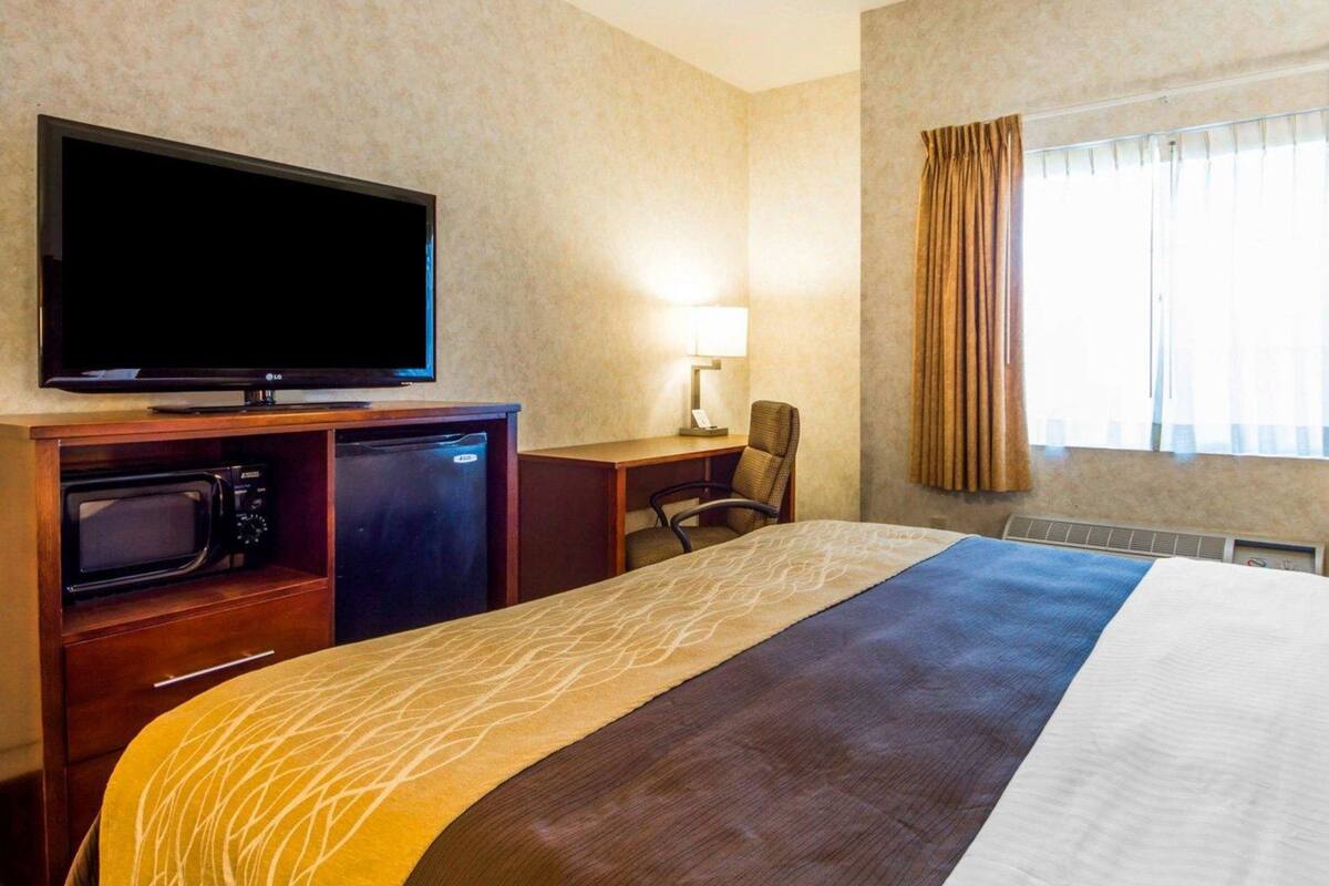 A hotel room with a bed, a desk with a chair, a television, a microwave, and a lamp.