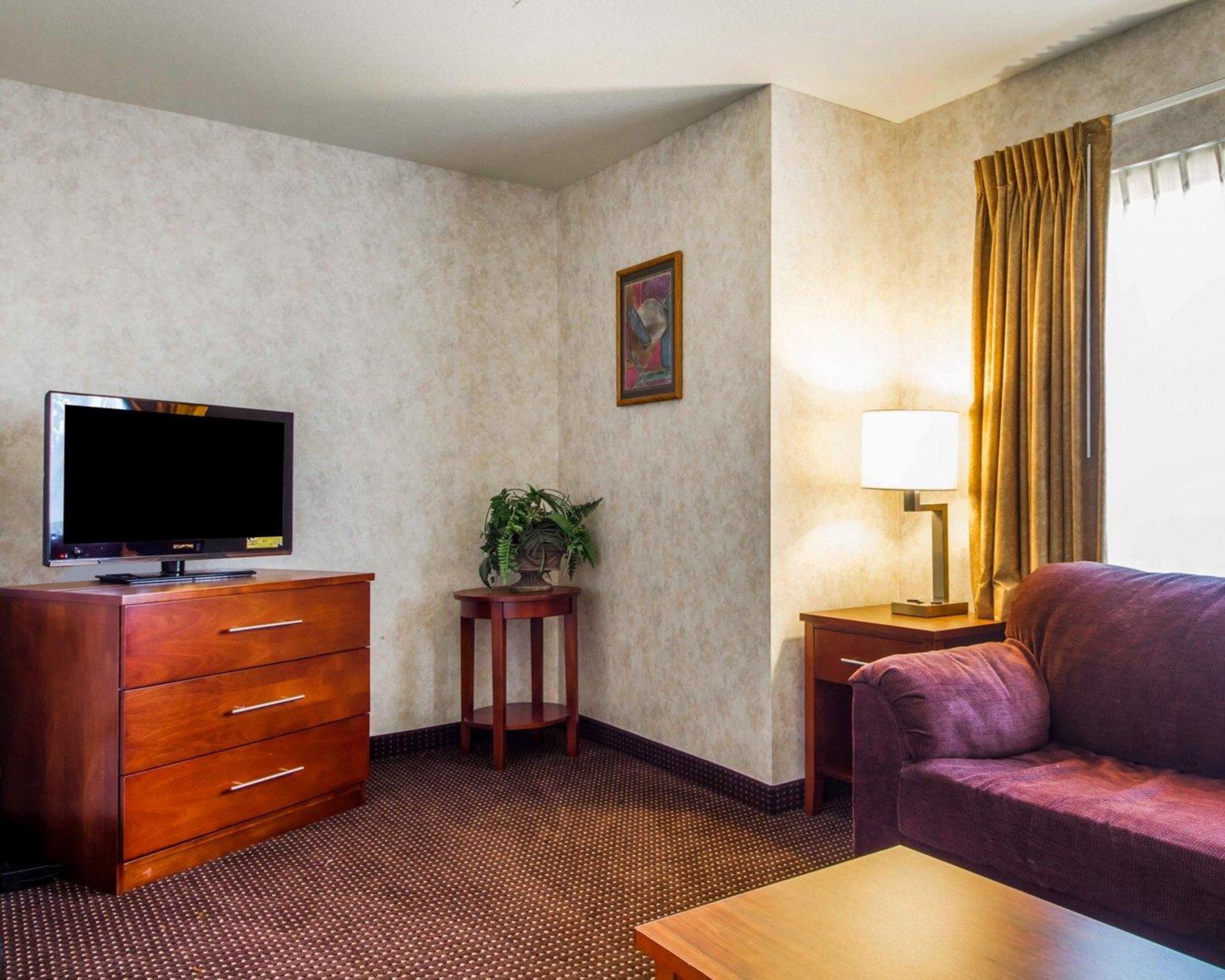 Une chambre d’hôtel avec un téléviseur posé sur une commode en bois, une petite table avec une lampe, un canapé violet et une plante en pot.