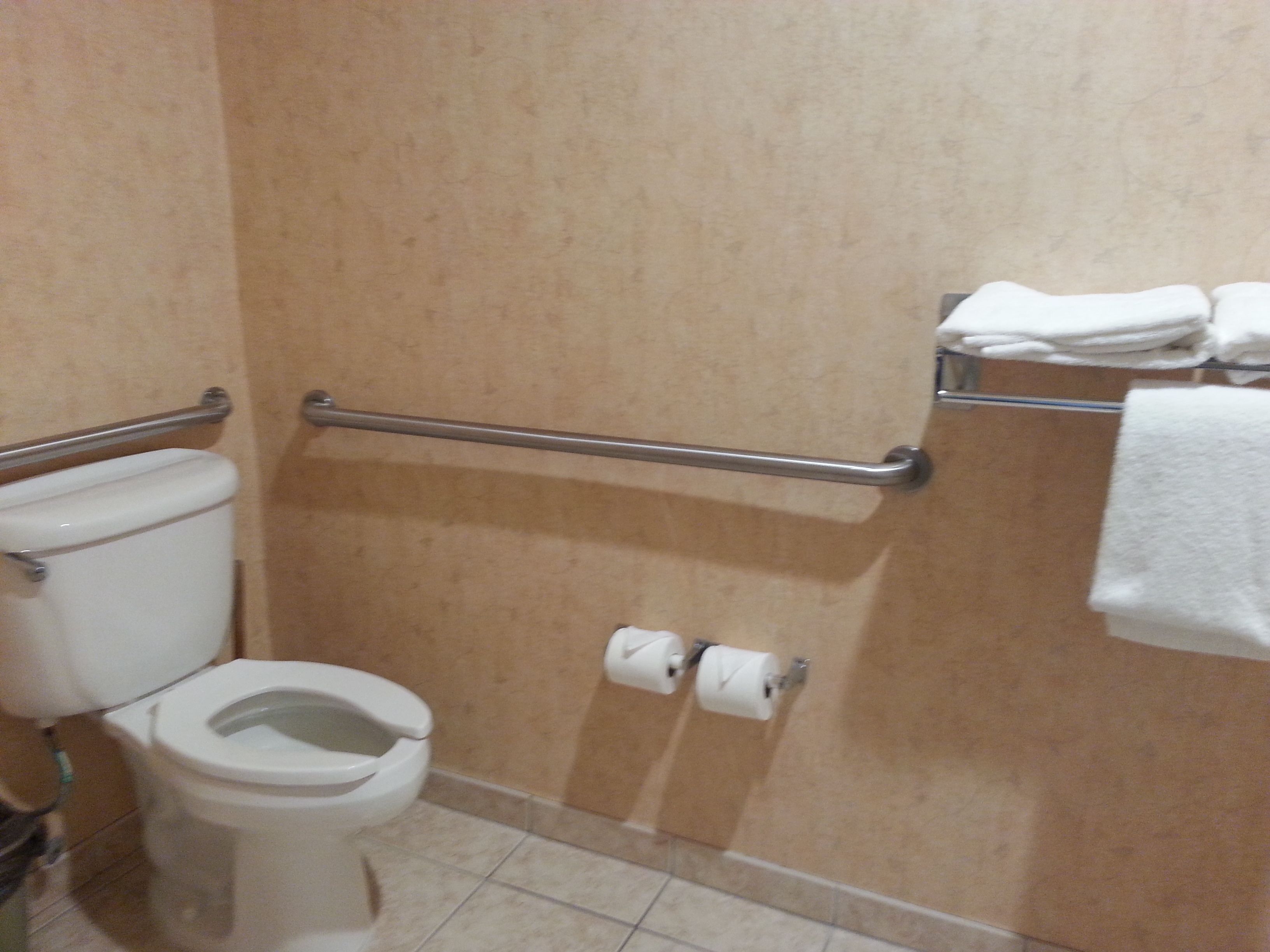 A bathroom with a toilet, a handrail, and a towel rack.