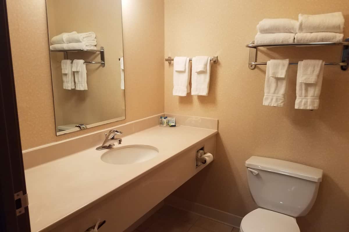 free toiletries, hair dryer, towels