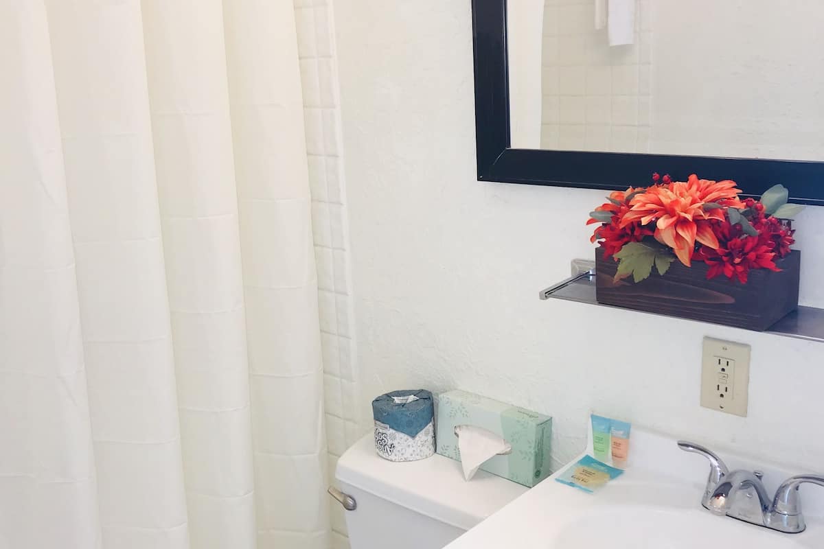 combined shower/bathtub, free toiletries, towels