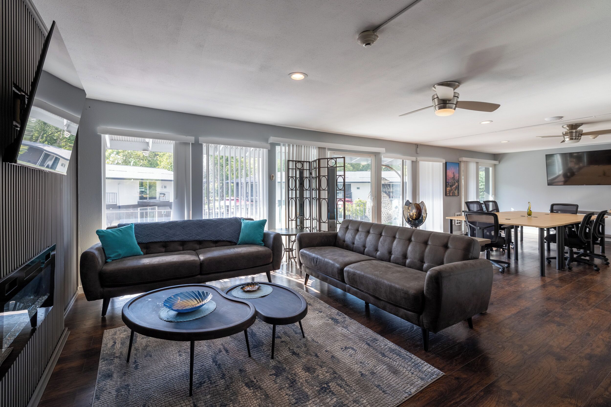 Flat-screen TV, Netflix, Hulu, streaming services