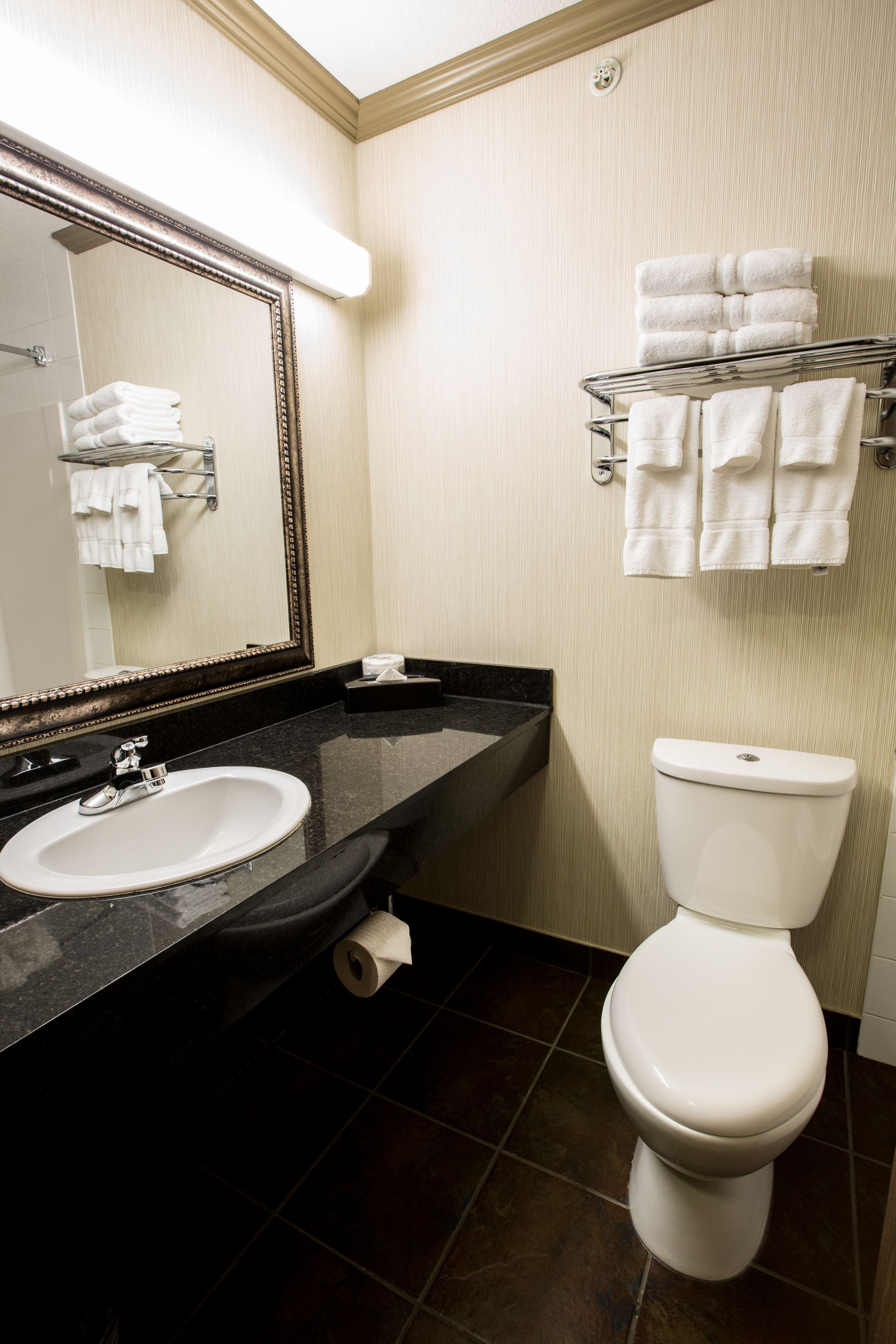 Une salle de bain avec un lavabo, un miroir et des toilettes.