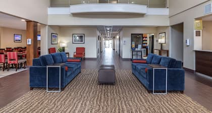 Comfort Suites near Texas Medical Center - NRG Stadium