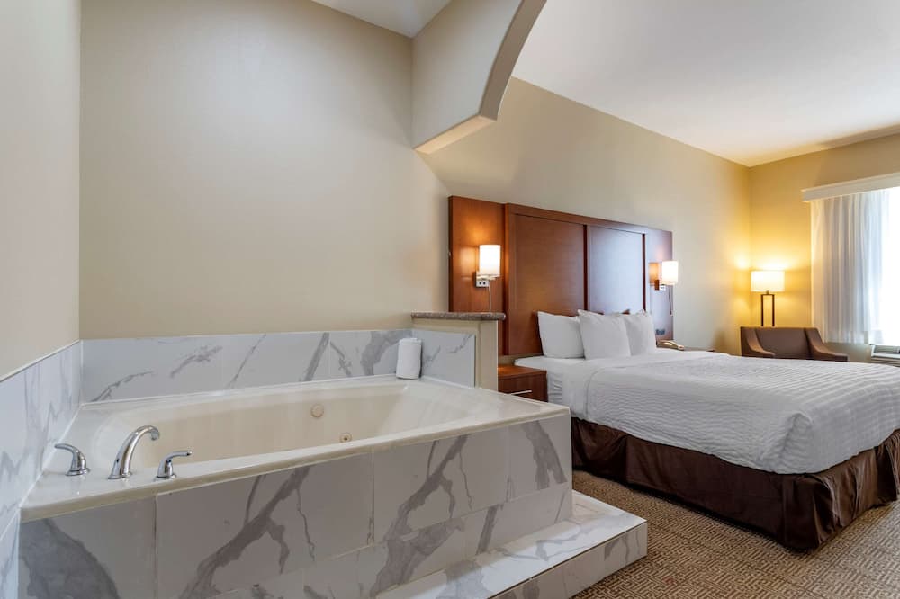 Comfort Suites Houston near Medical Center- NRG Stadium
