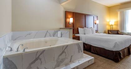 Comfort Suites Houston near Medical Center- NRG Stadium