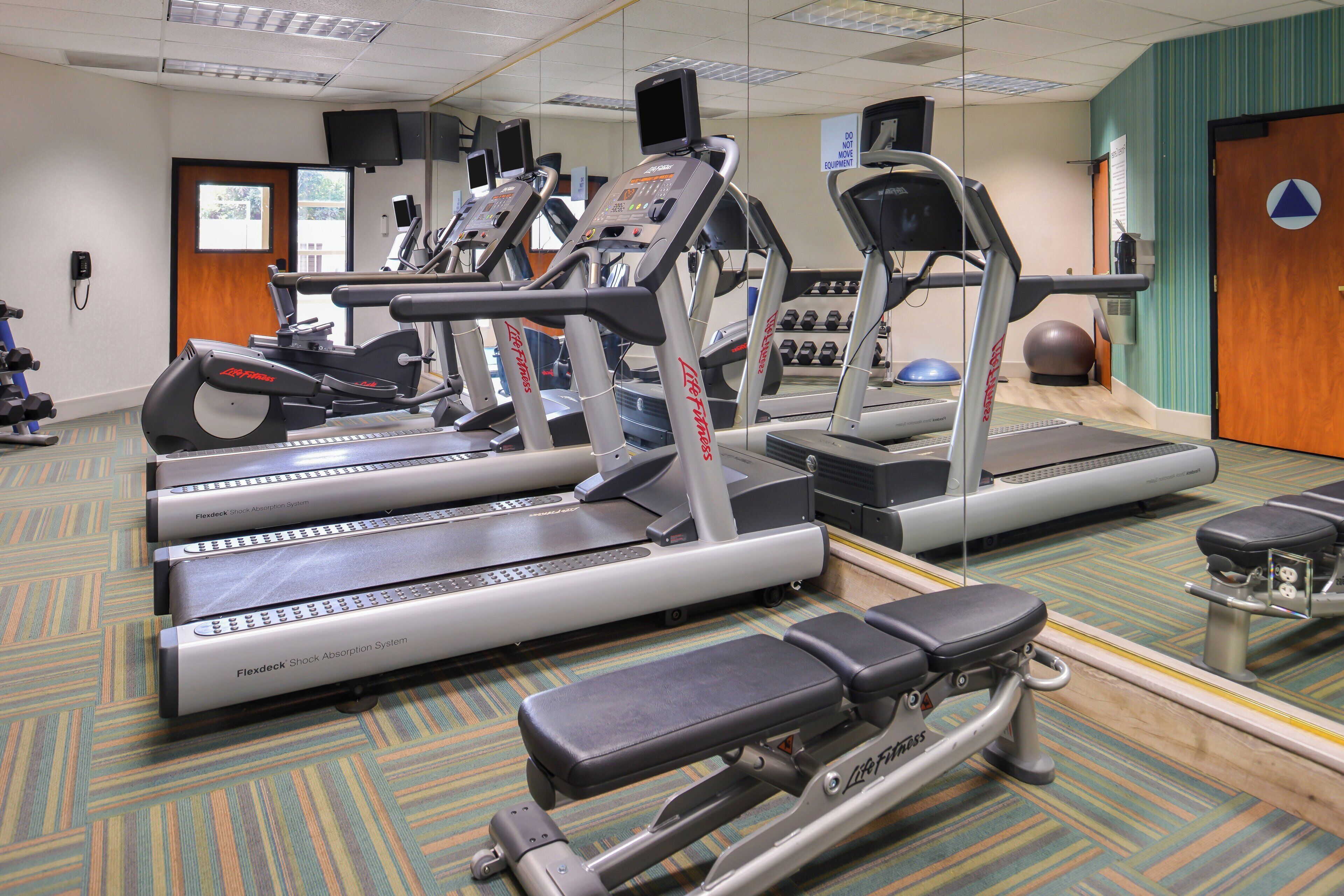 Une salle de sport équipée de plusieurs tapis de course, d’un banc de développé couché et de ballons d’exercice.