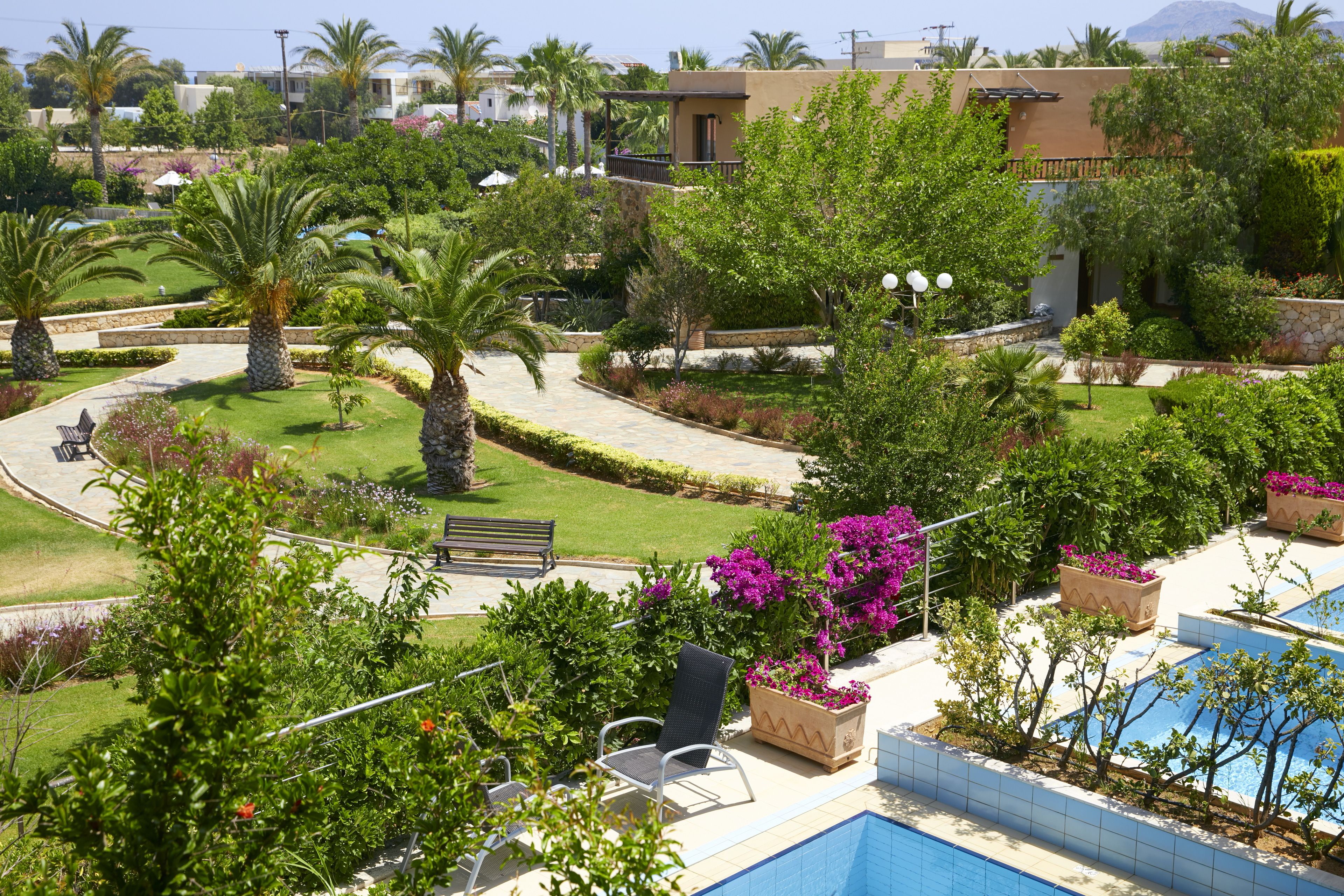 Un complexe hôtelier doté d’une piscine, de palmiers et d’un jardin bien entretenu.