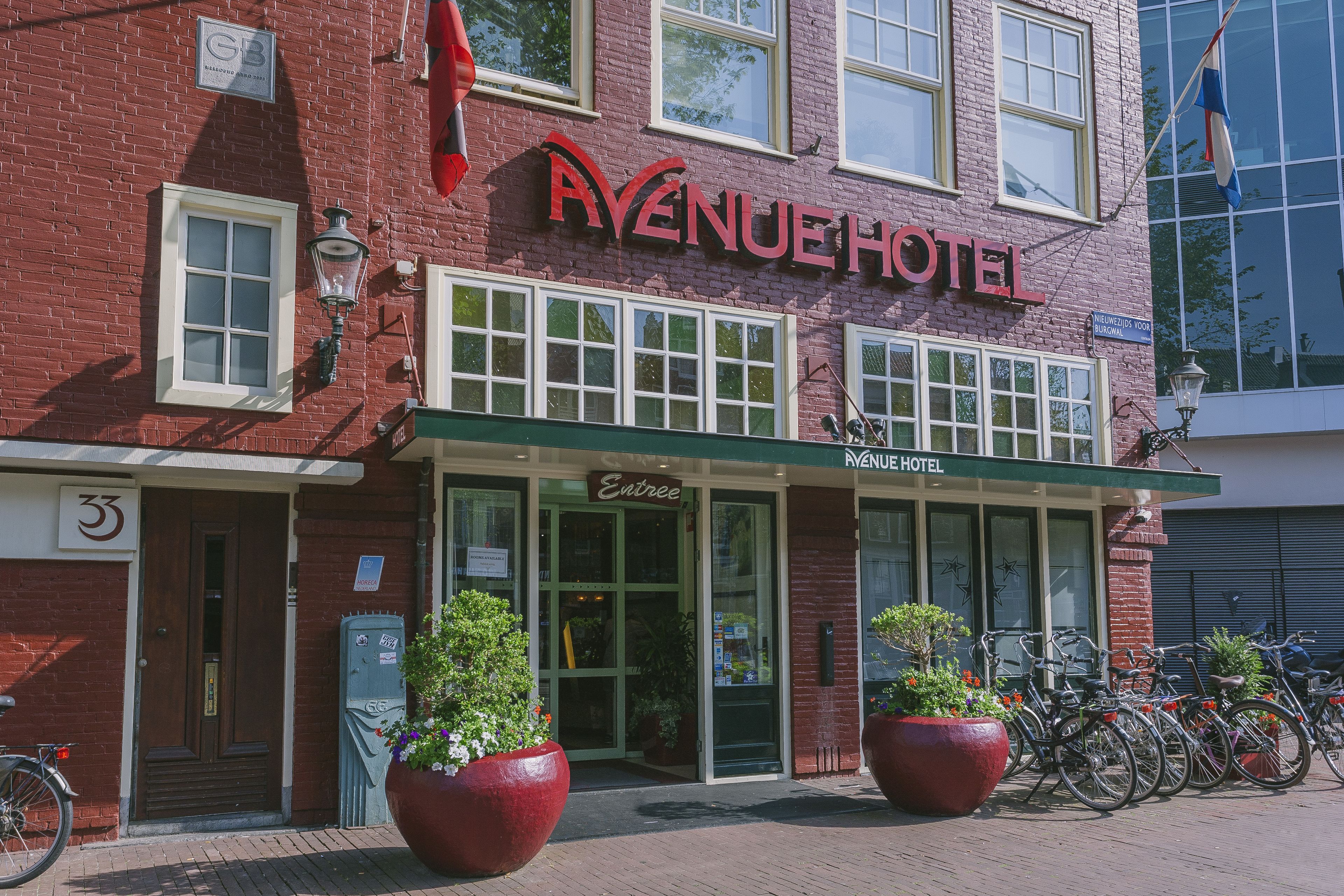 Foto - Avenue Hotel