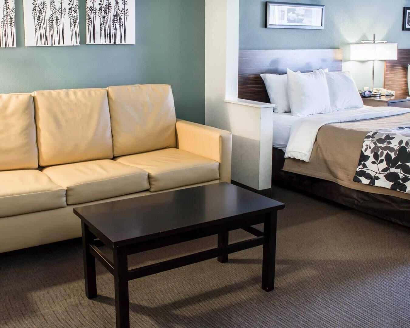 Une chambre d’hôtel avec un canapé, un lit, une table de chevet et une table.