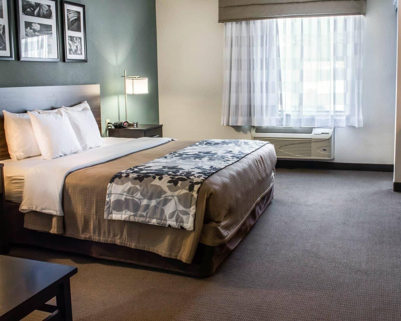 Een hotelkamer met een bed, nachtkastje, lamp, raam met gordijnen, en een muur met ingelijste foto's.