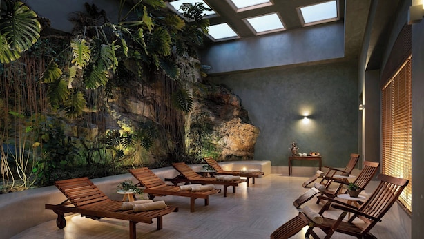 Un espace de détente intérieur, baigné de lumière naturelle, avec des chaises longues en bois, un mur d’escalade agrémenté de plantes et une verrière.