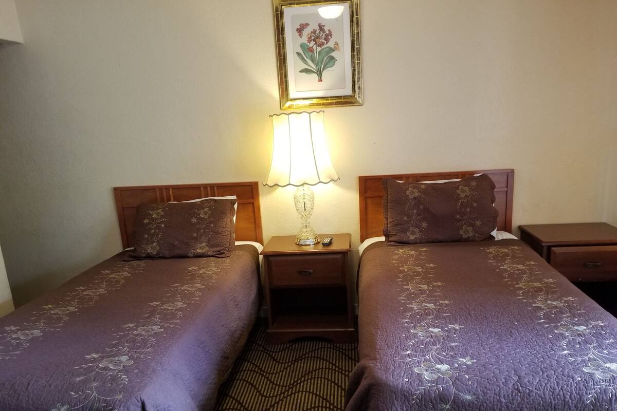 客房, 2 张单人床 | 熨斗/熨衣板、免费 WiFi