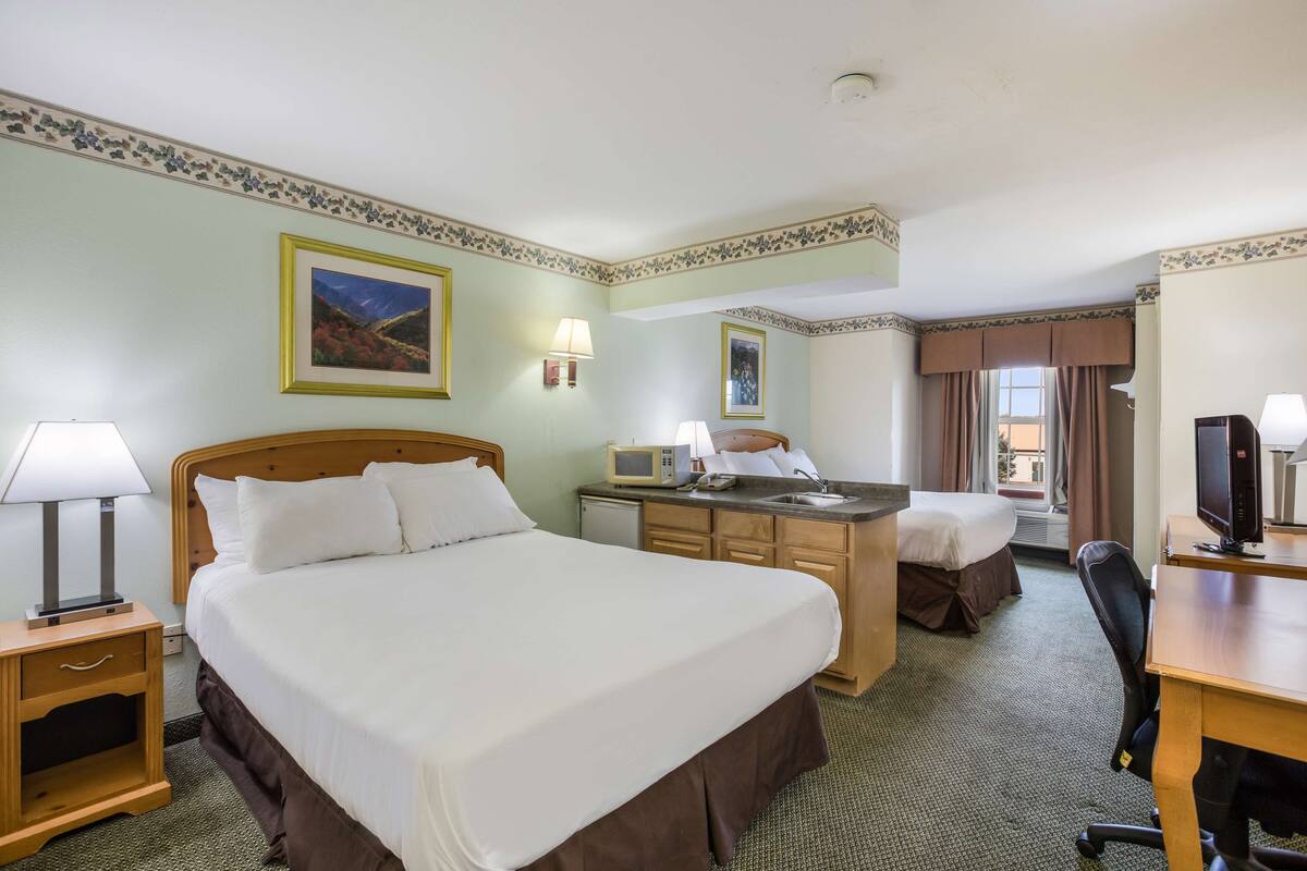 A hotel room with a large bed, a desk, a chair, a microwave, and a TV.