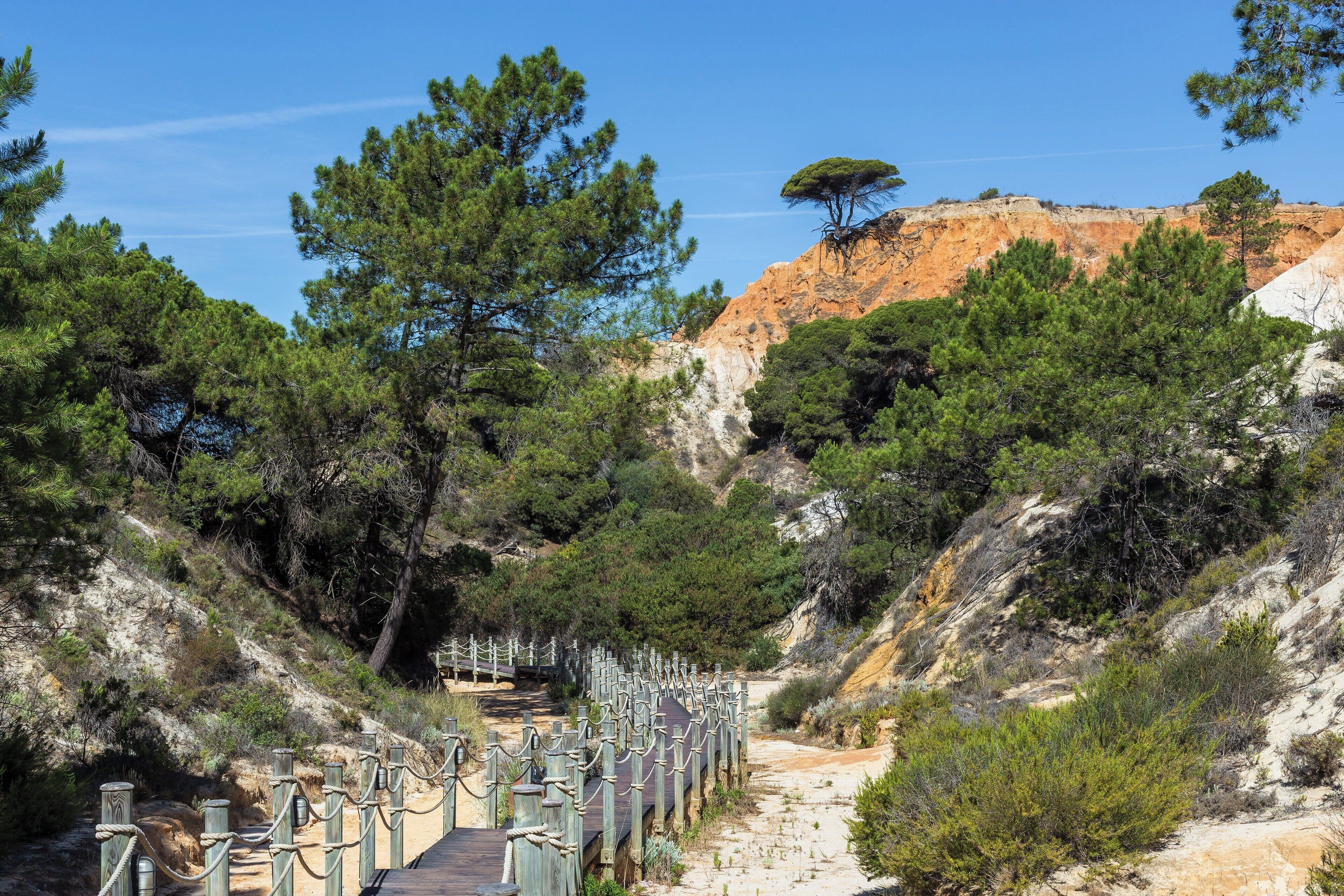 Un sentier en bois, délimité par une barrière en corde, entouré de pins et bordé d’une colline rocheuse.
