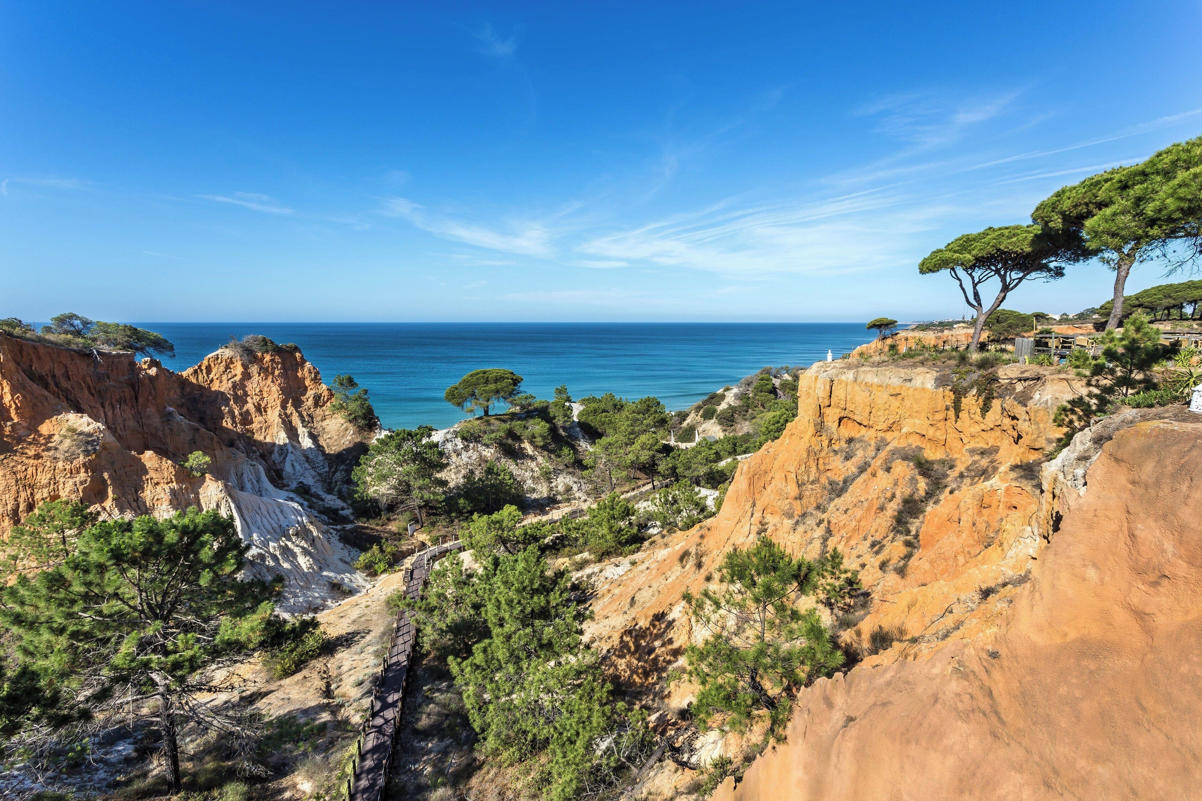 Un paysage côtier caractérisé par un terrain rocheux, des arbres et une vue dégagée sur la mer.