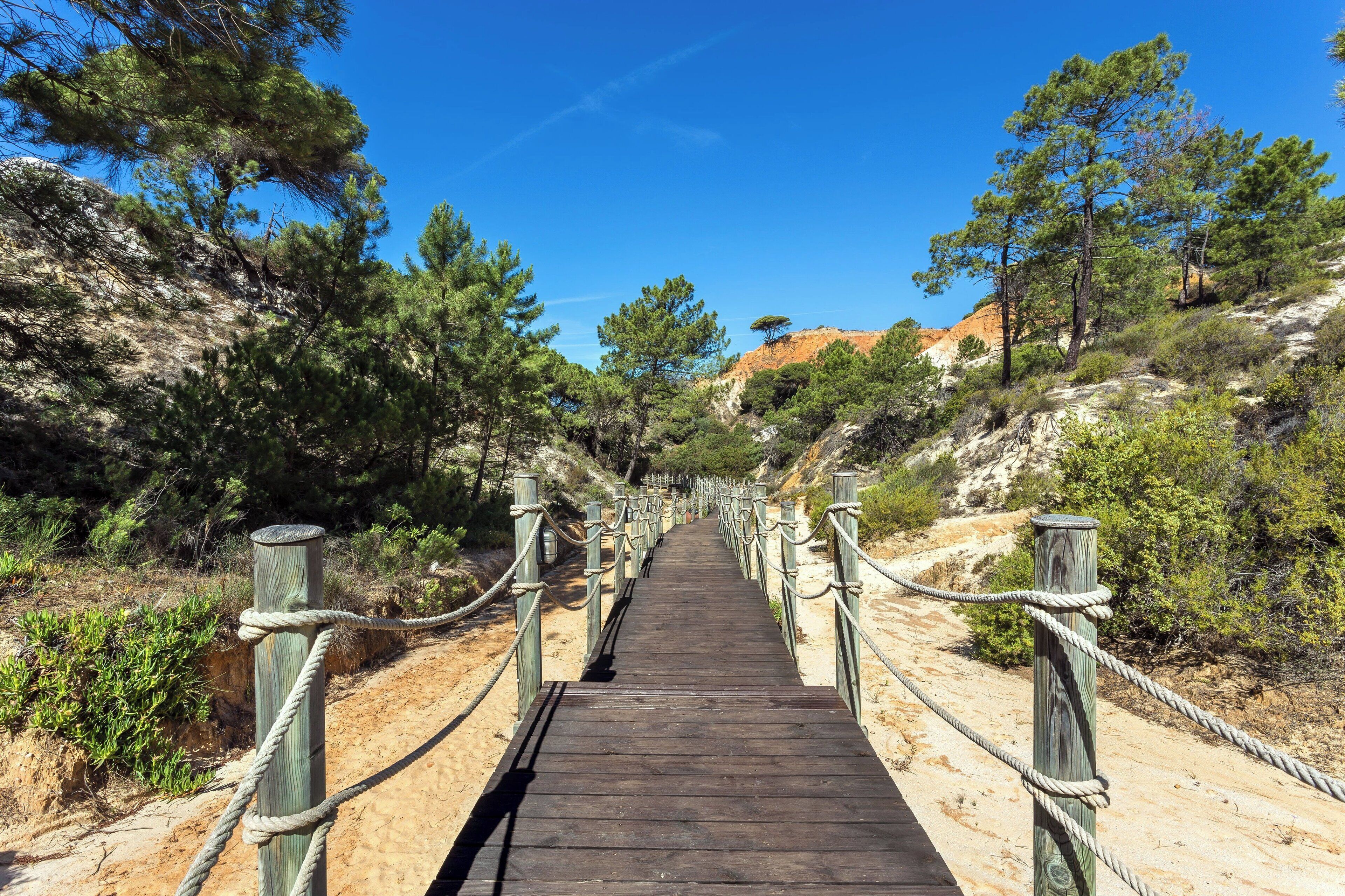 A wooden bridge with rope railings, surrounded by trees and rocky terrain.