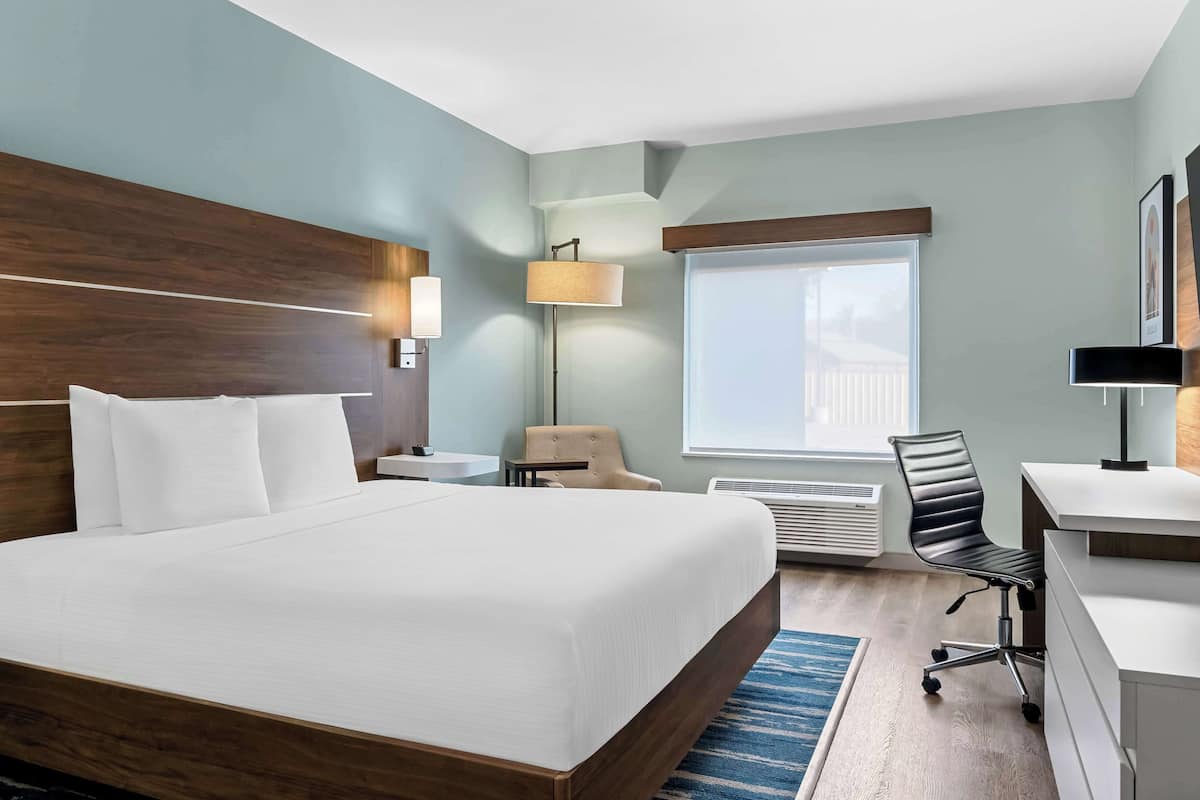 Chambre Standard, 1 très grand lit, non-fumeur, réfrigérateur et four à micro-ondes (Walk-in Shower) | Coffre-fort, bureau, espace de travail pour ordinateurs portables
