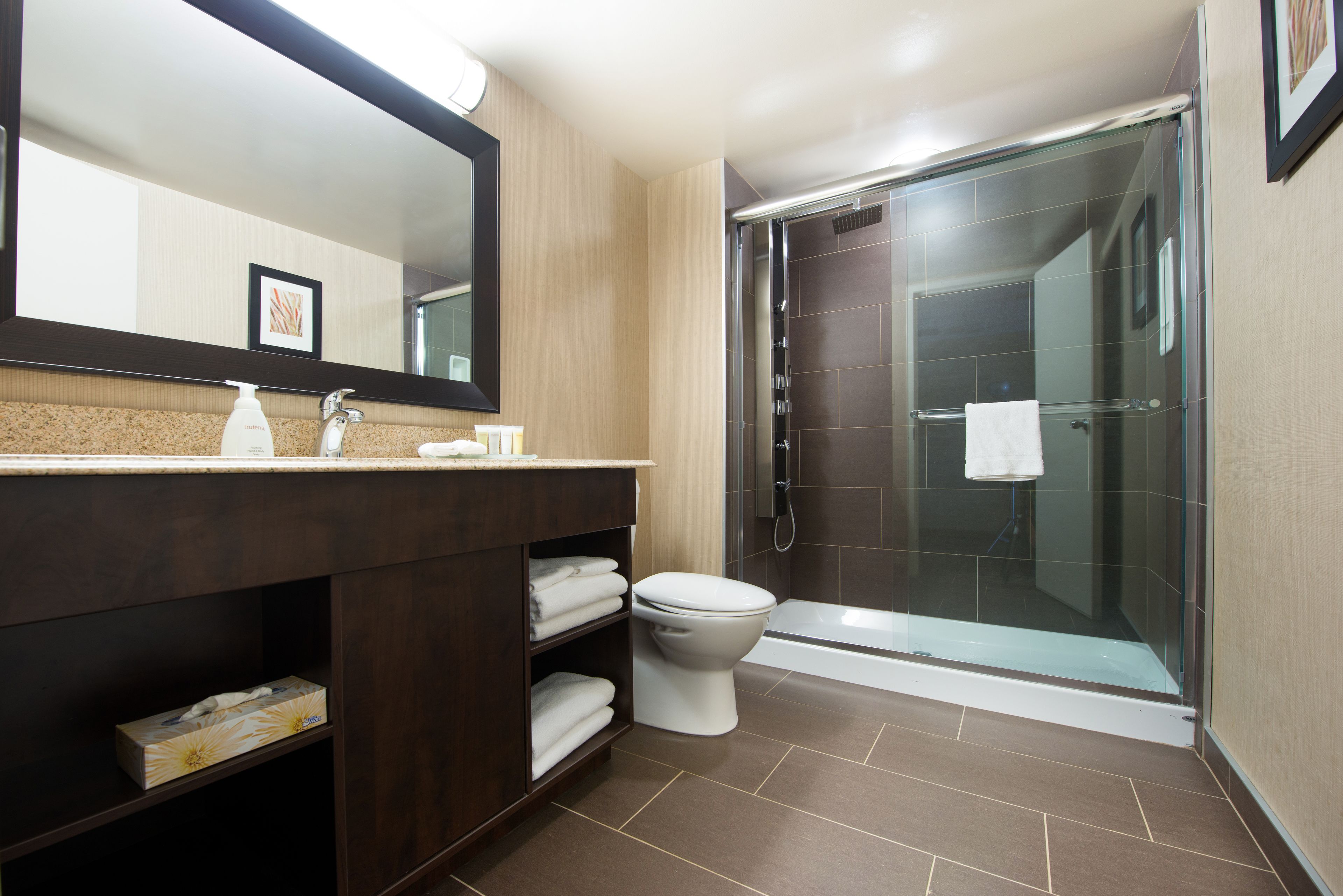 shower, free toiletries, hair dryer, towels